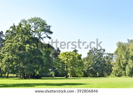 Park with green meadow and forest in the background. Green meadow and blue sky.