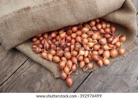 Natural small onion in a bag on a wooden board