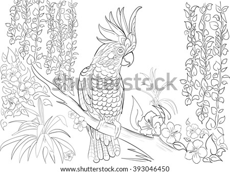 Hand drawn ink pattern. Coloring book Coloring for adult parrot cockatoo