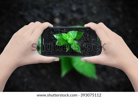 Hand holding smart phone shorting green plant