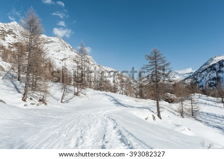 Alps mountain in winter with snow in a sunny day