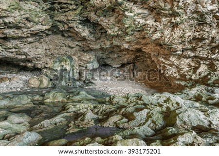 Animal Flower Cave in Barbados