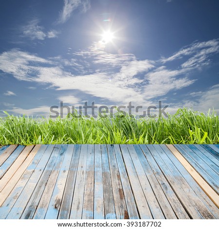 wood floor  with blue sky and sun light ,Fresh spring green grass beautiful background