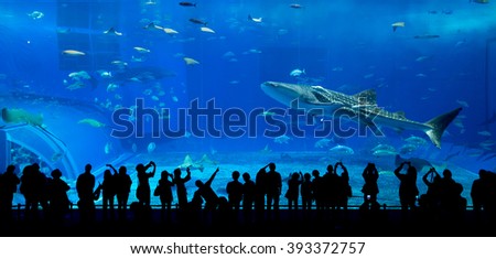 Aquarium in Okinawa Royalty-Free Stock Photo #393372757