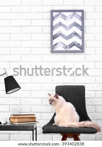 Color-point cat sitting on black chair in living room