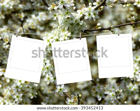 Close-up of three square blank instant photo frames with pegs against white blooms background