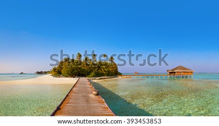Bungalows on tropical Maldives island - nature travel background