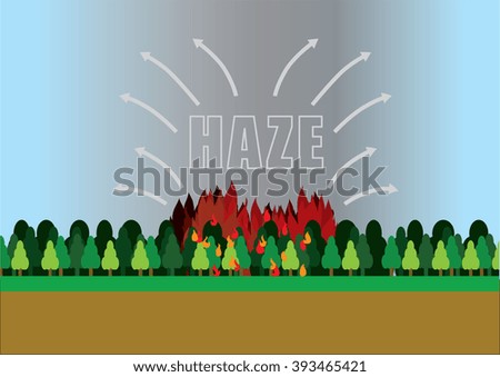 Forest fire that cause haze.