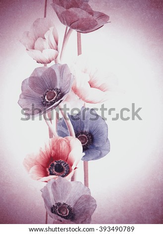 flowers isolated effect vintage