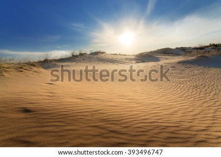 sand dune / bright summer evening before sunset photo