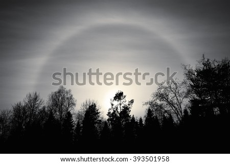 Sun and halo in the winter in Finland. Photography underexposed, so the forest in the foreground is black in color. Image includes a black and white effect.