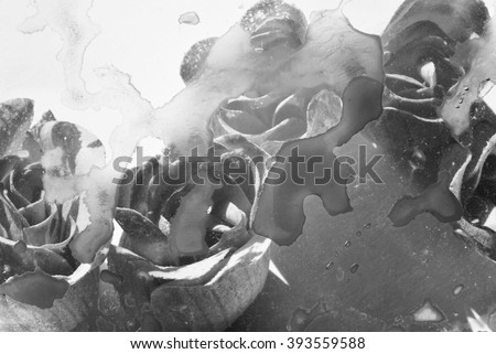 abstract photo of blurred and stain painted rose flowers on white background. black and white photo 