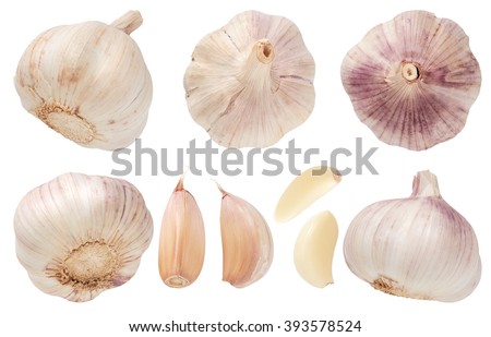 Garlic set isolated on white background. Top view. Royalty-Free Stock Photo #393578524