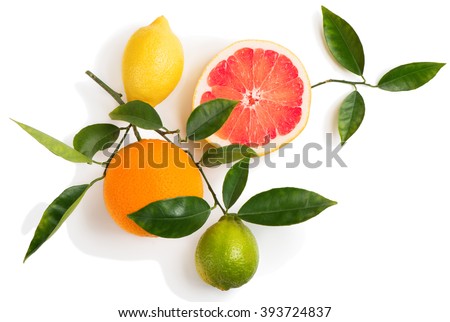 Top view of citrus fruits (grapefruit, orange, lemon, lime) on a branch with green leaves isolated on white background. Royalty-Free Stock Photo #393724837