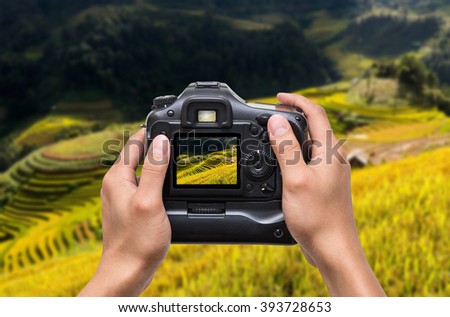 Hands holding the camera which taking photo of Rice fields on terraced of Mu Cang Chai District at sunrise time, YenBai province, Northwest Vietnam, worm tone