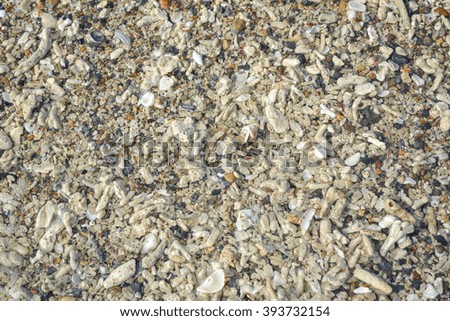 stone surface on beach for background texture