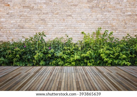 Old hardwood decking or flooring and plant in garden decorative Royalty-Free Stock Photo #393865639
