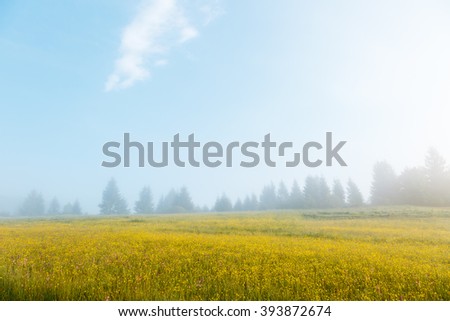 Fantastic day with fresh blooming hills in warm sunlight. Dramatic and picturesque morning scene. Location place: Carpathian, Ukraine, Europe. Artistic picture. Beauty world. Soft filter effect.
