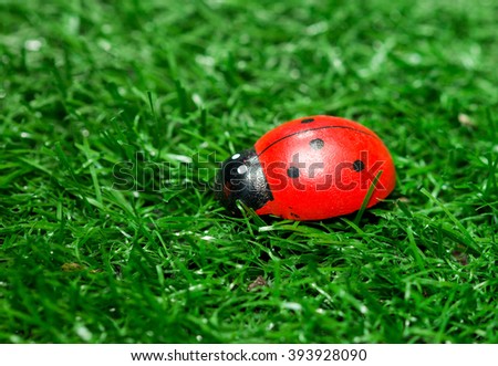 Toy ladybug on the grass