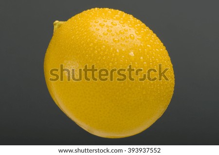 Lemon, Citrus Yellow Fruit on Grey - Studio Shoot