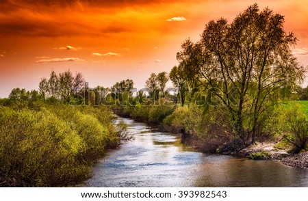 Landscape. The narrow river surrounded by trees. Sunset