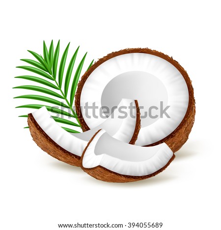 Pieces of coconut with leaves isolated on white background. Realistic vector illustration. Royalty-Free Stock Photo #394055689