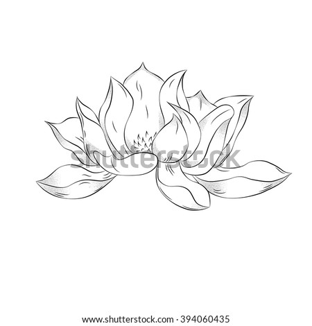 Lotus flower. Hand drawn illustration with stipple effect. Vintage Decorative Design Element. Clip art. Ideal for Card, Invitation. 