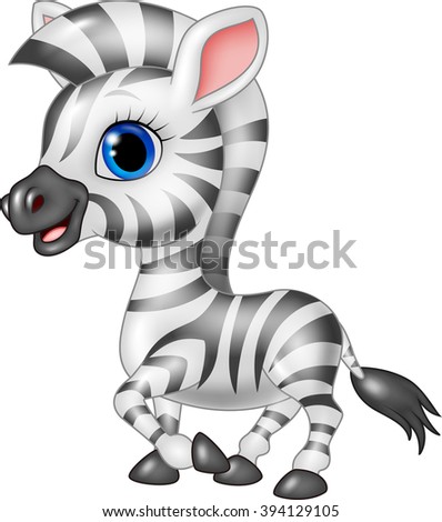 Cute zebra posing isolated on white background