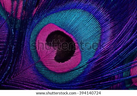 bright background the pattern of a peacock's tail Royalty-Free Stock Photo #394140724
