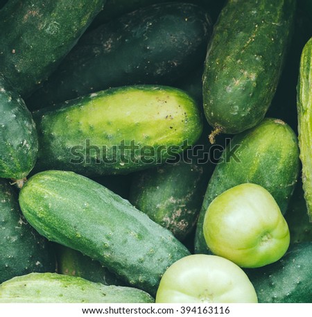 Green tomatos and cucumber on the background photo