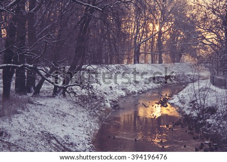 Winter river with ducks early morning