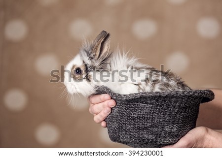 Easter bunny sitting in a hat held in hands.