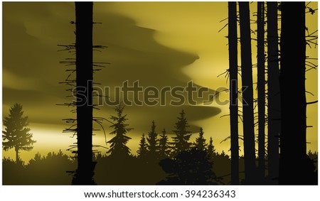  Nature background. Panorama of forest. Pine trees and trunks. Sunset. Grey and yellow tones. Eps 10.