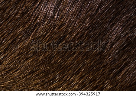 Cow fur background