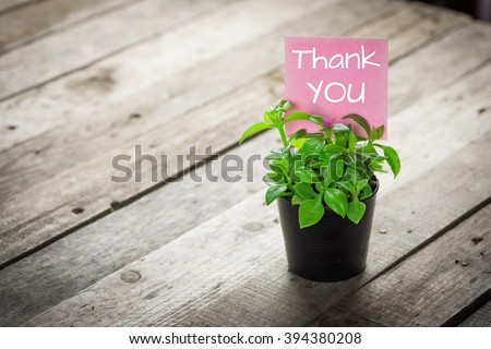 writing thank you on card and ornamental plants in pots on wooden floor.  Royalty-Free Stock Photo #394380208