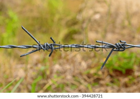 Barbed Wire on nature green grass background. 