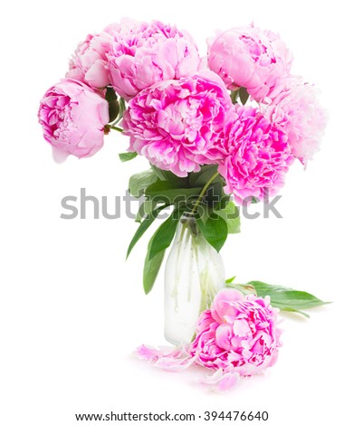 pink   peony flowers with bud  in vase isolated on white background