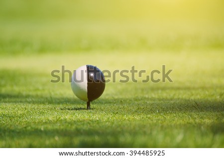 Golf ball on the green lawn background, sunny natural sport image. Competition, achievement and target concept.