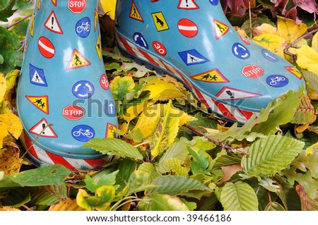 Legs on fall leaves