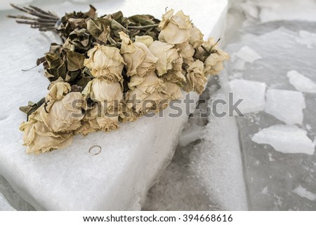 old wilted roses lie on the cold broken ice, and nearby is the golden wedding ring