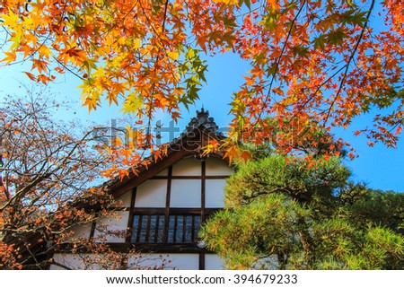 Vivid nature in front of Japanese temple