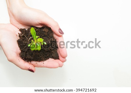 people, charity, family and ecology concept - close up of woman's hands holding soil with green sprout at home