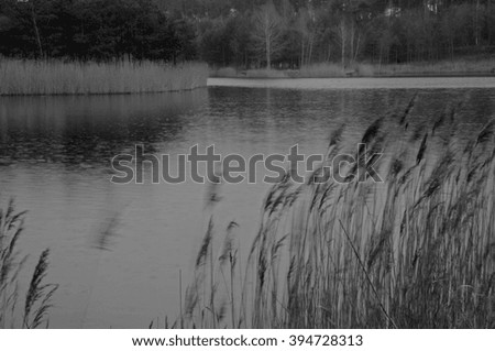 Winter landscape by the lake in Owinska, Poland