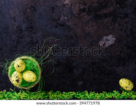 Easter eggs  in green grass on a dark background. Festive decoration. Happy Easter!Copy space.selective focus.
