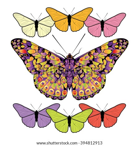 Set of butterflies isolated on white background. Vector illustration.