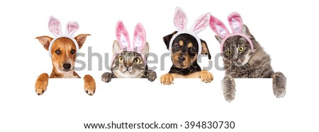 Row of cats and dogs wearing Easter Bunny ears, hanging their paws over a white banner. Image sized to fit a popular social media timeline photo placeholder