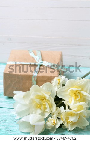 Postcard with fresh  daffodils flowers and gift box on turquoise painted wooden planks against white wall. Selective focus. 