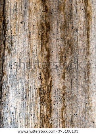 old wooden wall, background