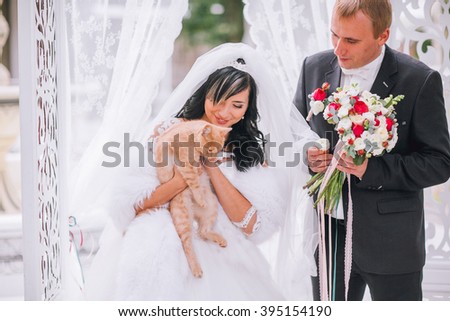 wonderful stylish rich happy bride and groom standing at a wedding ceremony arch with flowers. With cat