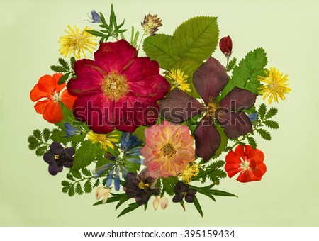 A bouquet of flowers on a light background. Pressed, dried rosehip, clematis, geraniums, violets, dandelion, clover and lupine. 